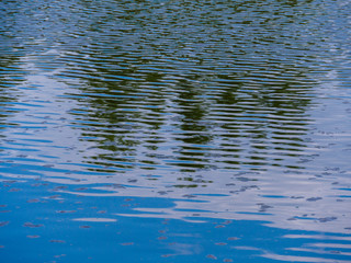 Water surface with reflections