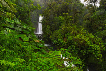 Fototapeta na wymiar La Paz Waterfall Costa Rica