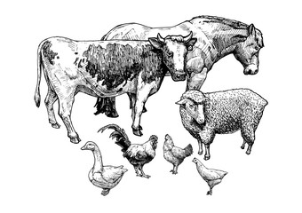 illustration of farm animals