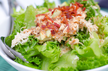 Fresh vegetable salad