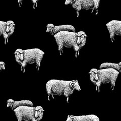 Fototapeta premium Pattern with sheep