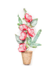 Gardening or planting concept with planting peat pots and red flowers on white background, top view