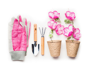 Gardening concept with garden tools, planting flowers in pots and pink gloves  on white background,...