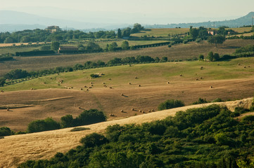 Obraz premium Tuscan landscape