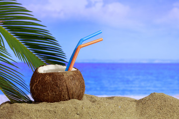 Summer sandy beach - coconut drink and copy space