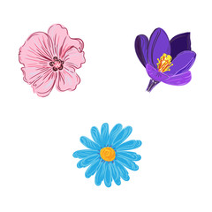set of flower in sketch style, vector illustration