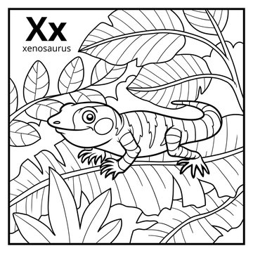 Coloring book, colorless alphabet. Letter X, xenosaurus