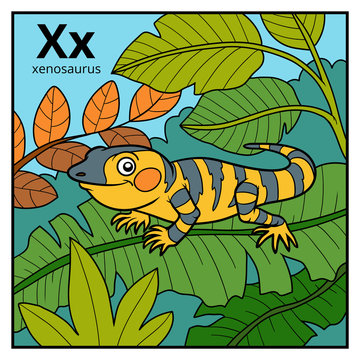 Color alphabet for children, letter X (xenosaurus)