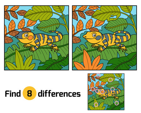 Find differences, Xenosaurus
