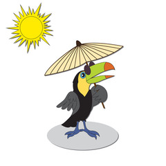Cartoon personage bird toucan.