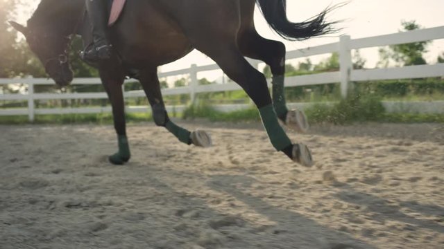 CLOSE UP, SLOW MOTION, DOF: Detail of horse lags secured with polos cantering along a sandy riding arena. Stallion with unrecognizable rider running exercising for a competition in outdoor manege