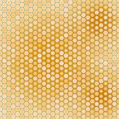 Vector illustration of natural looking honey comb. Hexagon pattern of beehive frame.