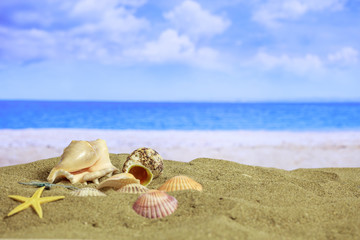 Fototapeta na wymiar Sandy beach - summer vacations concept