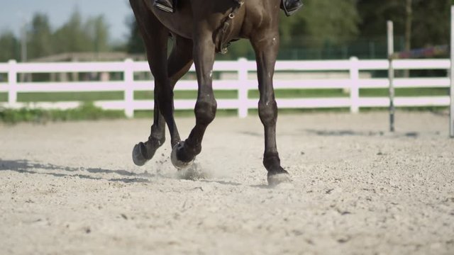 SLOW MOTION, CLOSE UP, DOF: Detail of horse legs working trot in big sandy outdoor riding arena. Female rider riding traver in dressage. Stallion performing haunches-in competing on the competition