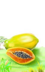 Fototapeta na wymiar papaya and slice in the garden