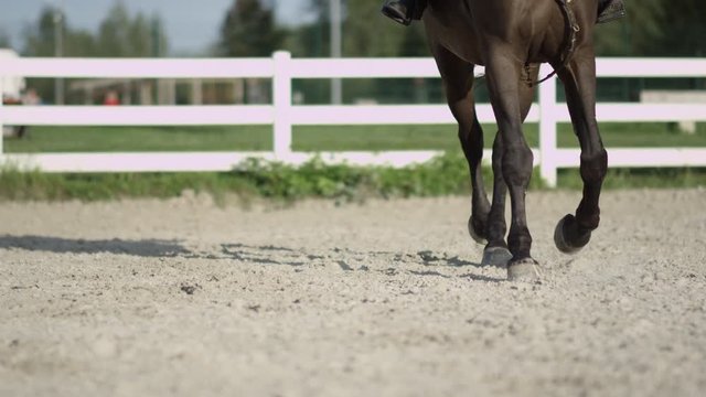 SLOW MOTION CLOSE UP DOF: Detail of horse legs working trot in big sandy outdoor riding arena. Female rider riding traver in dressage. Out of focus people sitting on bench watching stallion performing