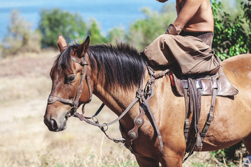 Cossack in trousers sitting on a horse