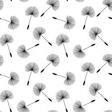 black dandelions seed floral fluff pattern on a white background seamless vector