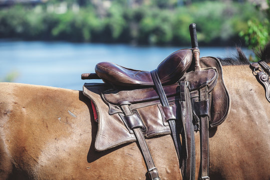leather saddle on the horse's back
