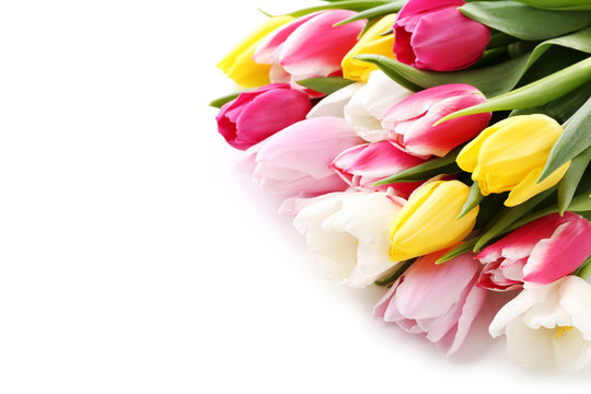 Bouquet of bright tulips isolated on a white background