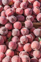  Peaches at Farmer's Market