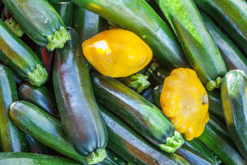 Squash at Farmer's Market