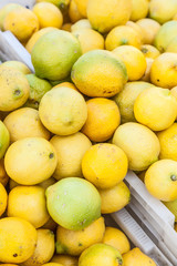  Lemons at Farmer's Market