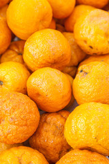 Oranges at Farmer's Market