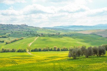 Obraz premium Landscape of tuscan countryside