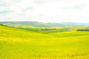 Fototapeta premium Landscape of tuscan countryside
