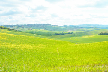 Fototapeta premium Landscape of tuscan countryside