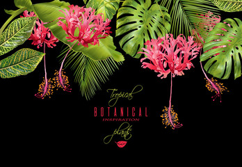 Tropical flower border - 152145787