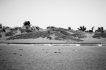 Wooden pathway at the beach