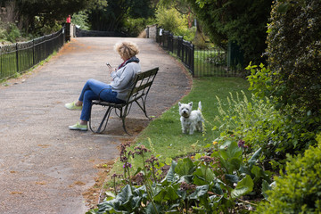Rest in the park. A woman is sitting on a bench and looking at her mobile phone. And her pretty...