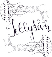 Jellyfish illustration