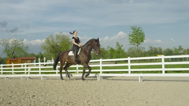 SLOW MOTION, CLOSE UP: Woman riding sitting trot on big dark brown stallion. Female rider trying to ride sitting trot dressage. Girl exercising with horse to sit the trot in outdoor sandy riding arena