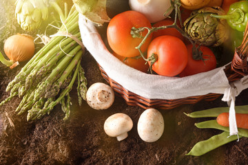 Vegetables in basket on soil with crop landscape background top