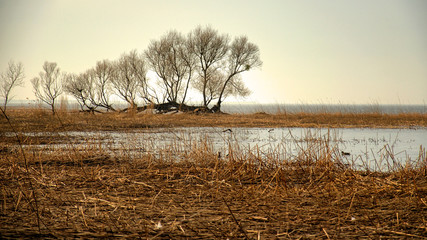Rozlewisko © Marzena