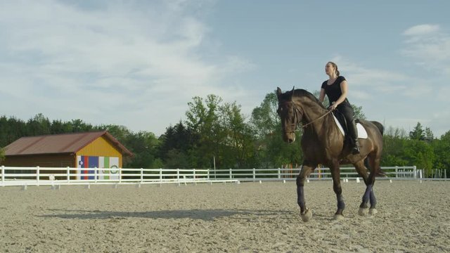 SLOW MOTION, CLOSE UP: Woman riding sitting trot on big dark brown stallion. Female rider trying to ride sitting trot dressage. Girl exercising with horse to sit the trot in outdoor sandy riding arena