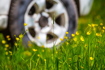 closeup car wheel among a green grass