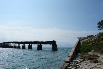 Broken bride in the Florida Keys