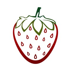 Contour of ripe red strawberry with grains with green stem with brown end and green leaf on white background. Ripe summer natural home made fruits 