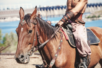 rider is sitting bare-chested on horseback