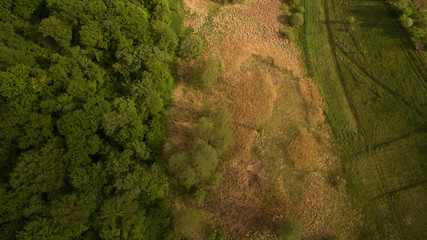 The photo of the forest was taken with a quadrocopter