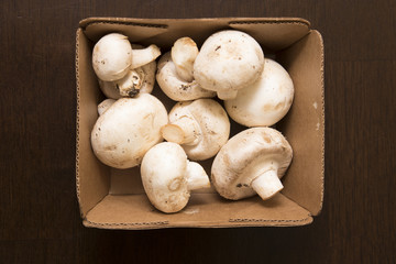 Mushrooms in container. Fresh organic raw produce on a kitchen table.