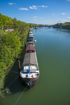 Lyon/bateaux amarrés