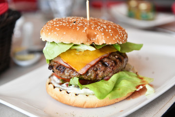 Delicious burger on white plate