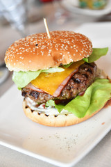Delicious burger on white plate