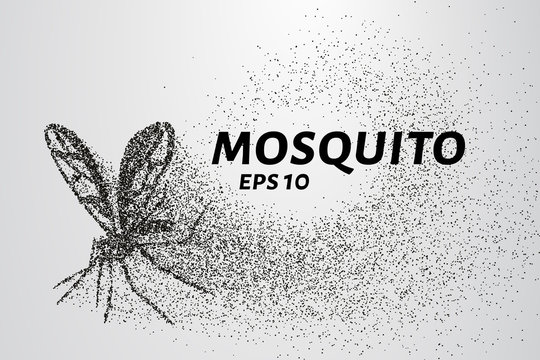 The mosquito of the particles. The mosquito consists of small circles and dots. Vector illustration.