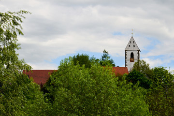 Fototapeta na wymiar Landschaftspark Bruckenwase in Plochingen